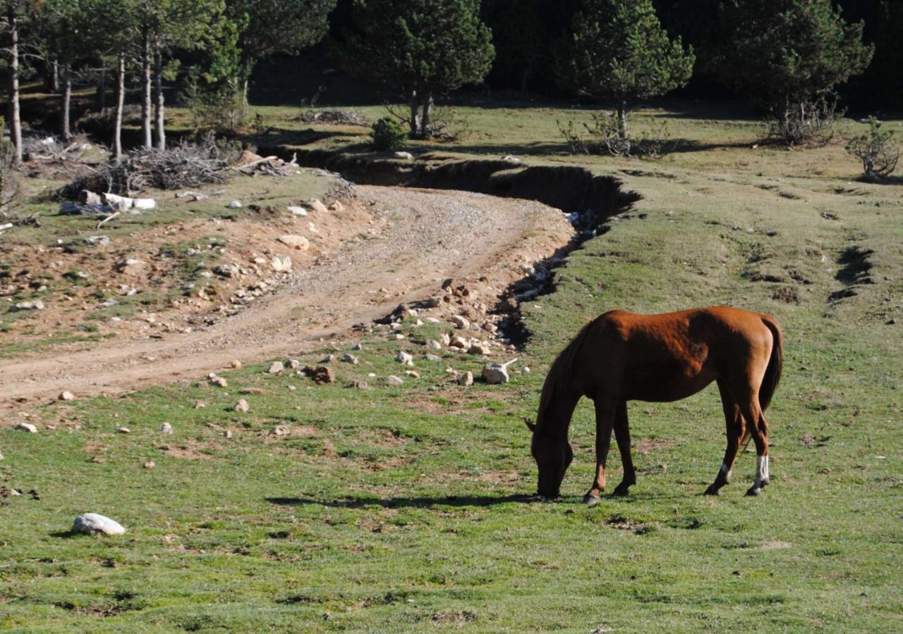 Apartamento con encanto en el Pirineo La Pobla de Lillet Exterior foto
